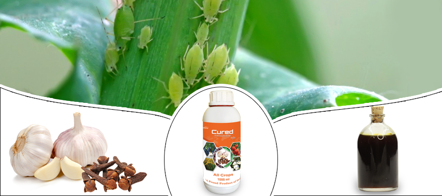 undefined thumbnail 2