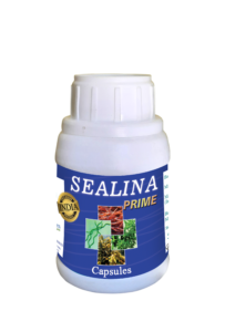 Sealina Prime