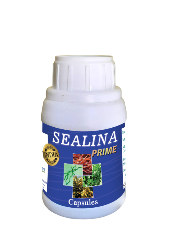 Sealina Prime